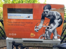bloembollen10