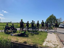 bloembollen3