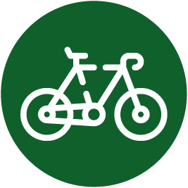 icon gravel bike